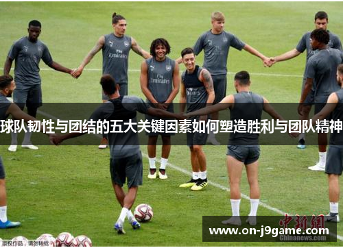 球队韧性与团结的五大关键因素如何塑造胜利与团队精神