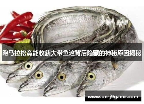 跑马拉松竟能收获大带鱼这背后隐藏的神秘原因揭秘