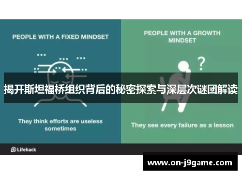 揭开斯坦福桥组织背后的秘密探索与深层次谜团解读