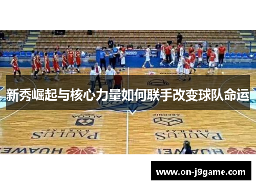新秀崛起与核心力量如何联手改变球队命运