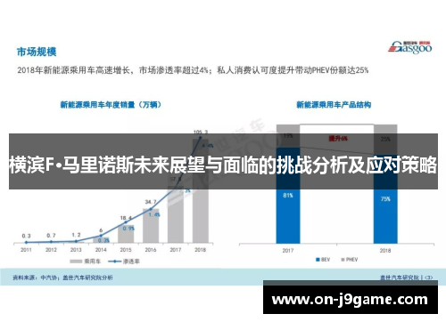 横滨F·马里诺斯未来展望与面临的挑战分析及应对策略