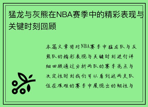 猛龙与灰熊在NBA赛季中的精彩表现与关键时刻回顾