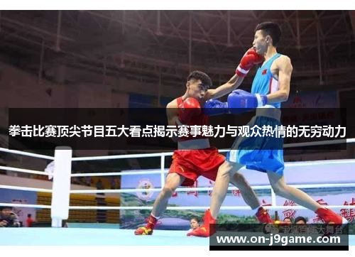 拳击比赛顶尖节目五大看点揭示赛事魅力与观众热情的无穷动力